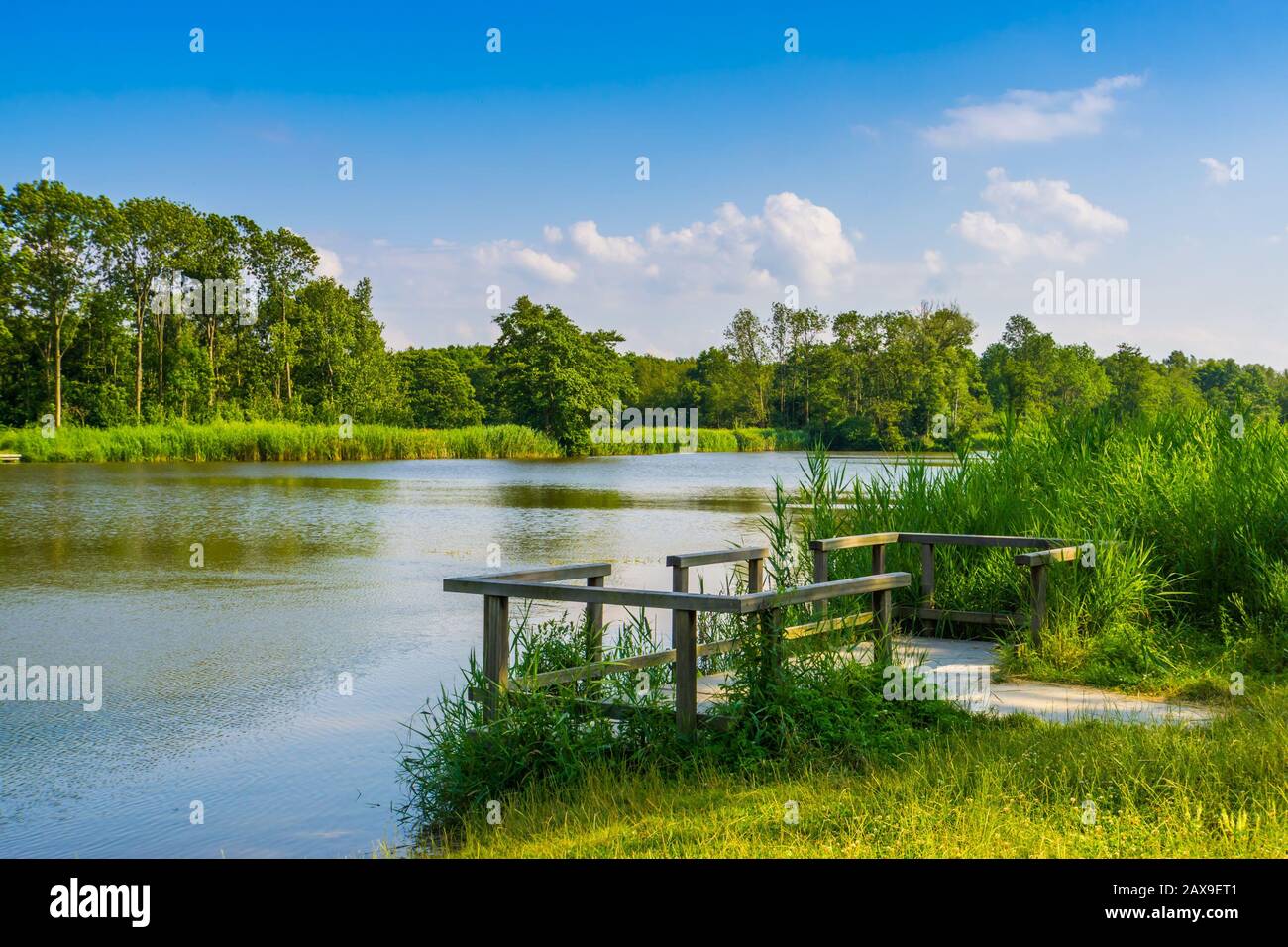 Lac d'eau avec jetée et beau paysage naturel, le melanen, Halsteren, Bergen op zoom, les Pays-Bas Banque D'Images