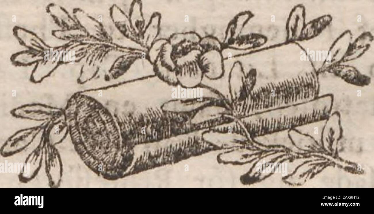 Resa Til Frankrike Italien Sweitz Oren Intagcn La Val Af Ja Ritlcbarens Omhet Pour Fig Fom