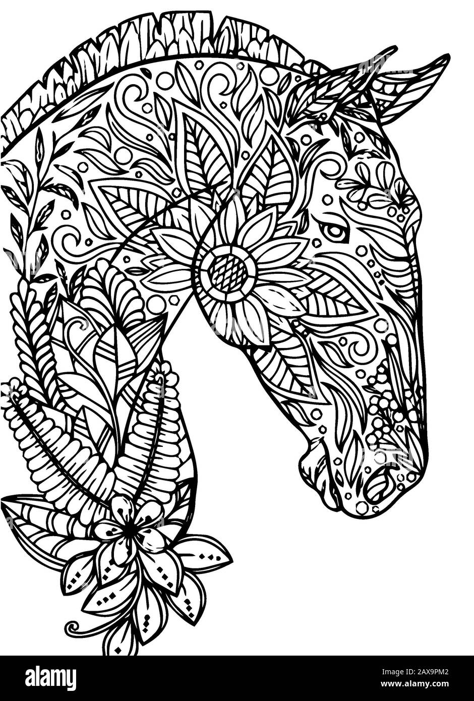 page de coloriage pour adultes Banque D'Images