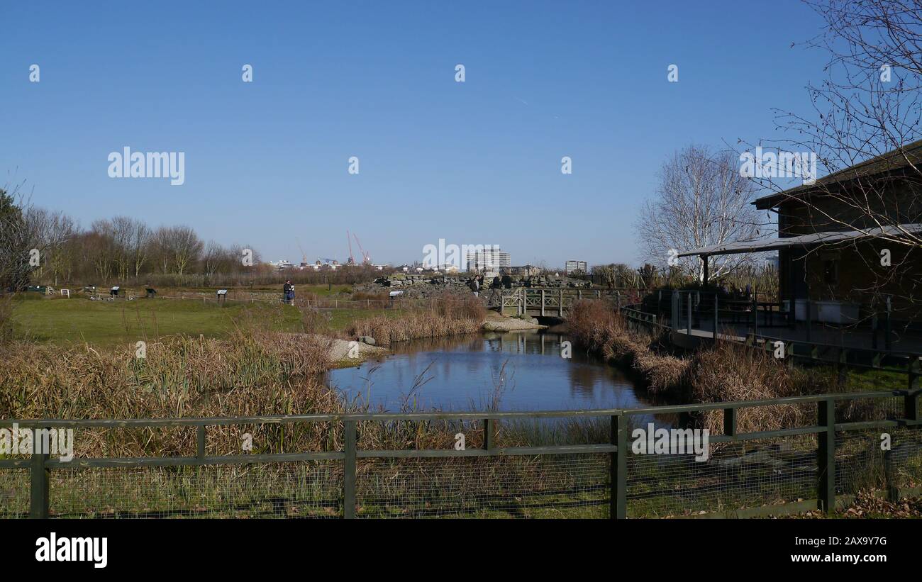 Un lac au London Wetland Center de Barnes Londres UK Banque D'Images