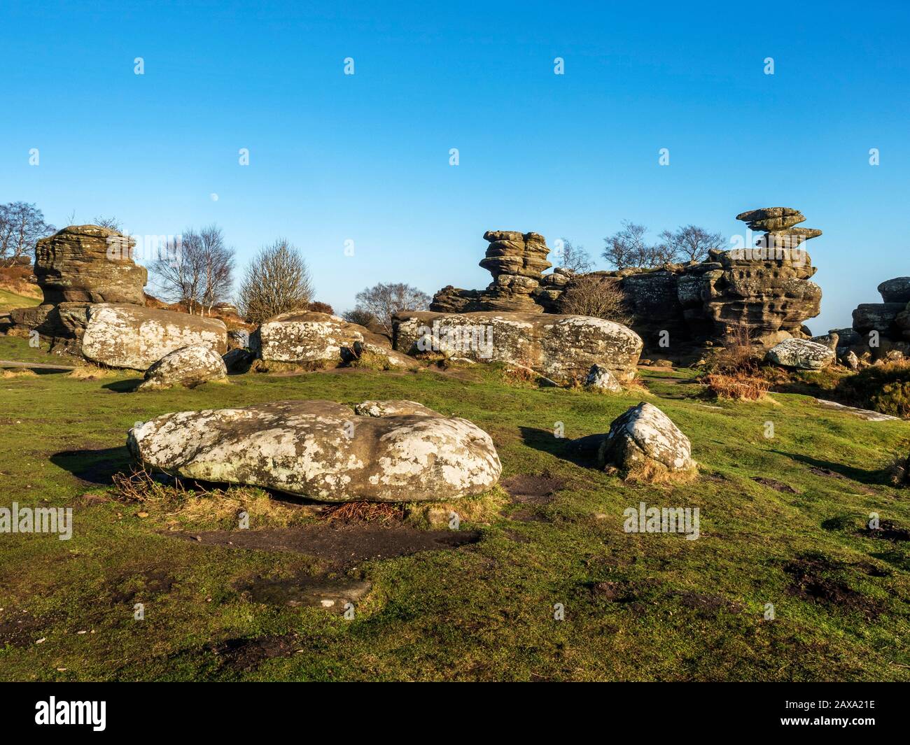 Formations rocheuses de Gritstone à Brimham Rocks Brimham Moor Nidhair AONB North Yorkshire England Banque D'Images