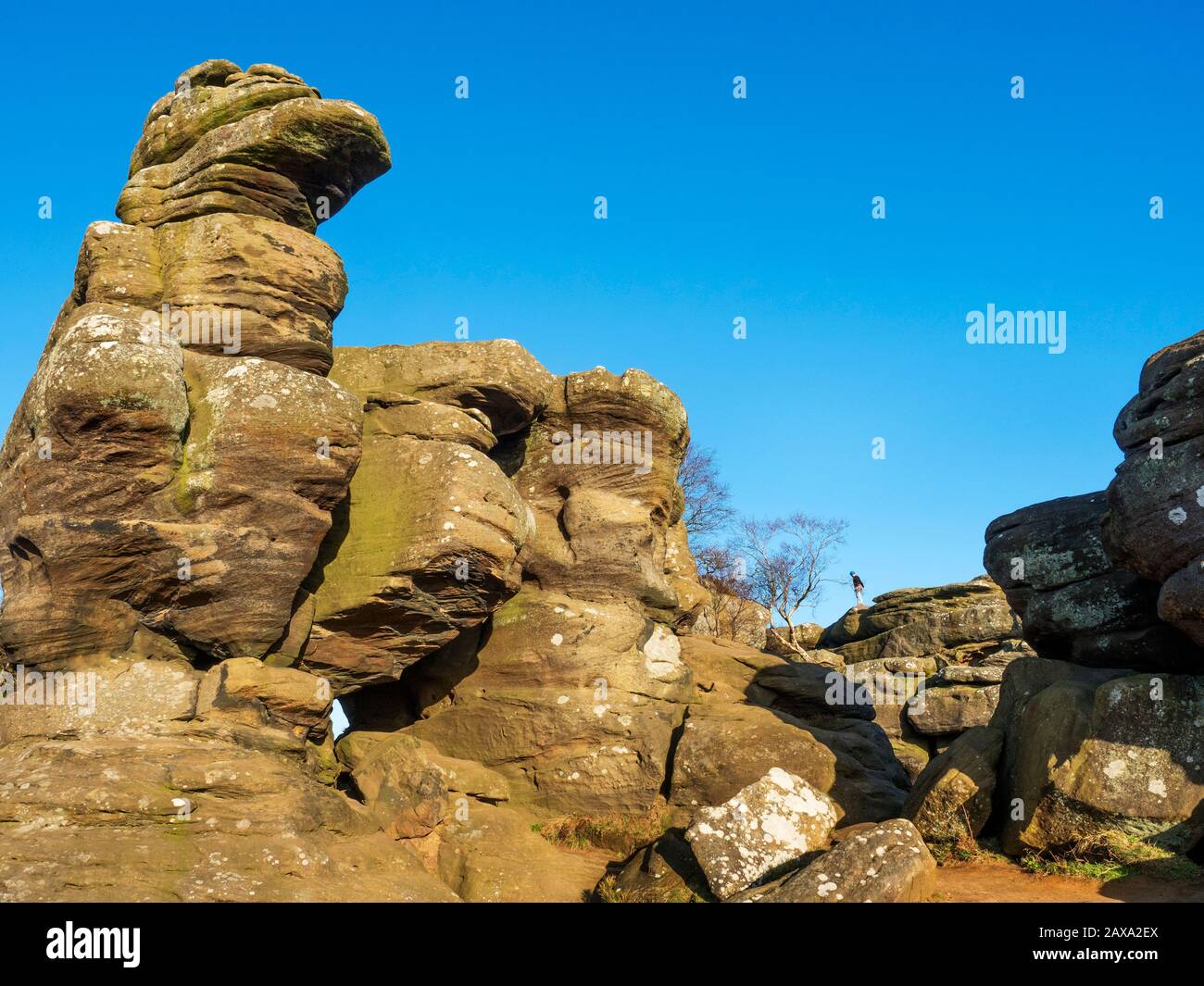 Formations rocheuses de Gritstone à Brimham Rocks Brimham Moor Nidhair AONB North Yorkshire England Banque D'Images