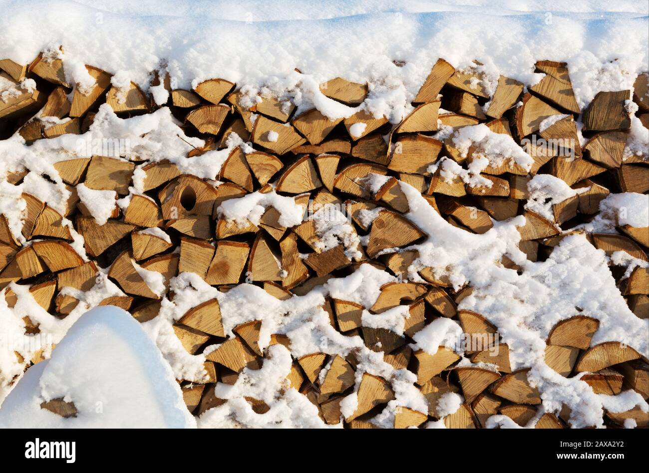 Couper le bois de chauffage de la pile de bois de chauffage d'hiver. Bois de chauffage d'hiver empilé. Bois de chauffage recouvert de neige dans la région de Leningrad. Russie. Banque D'Images