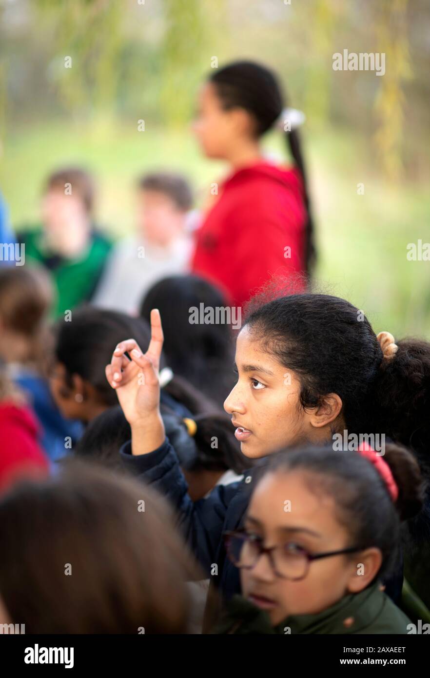 Une leçon de brousse de l'an 7 dans une école secondaire, au Royaume-Uni. Banque D'Images