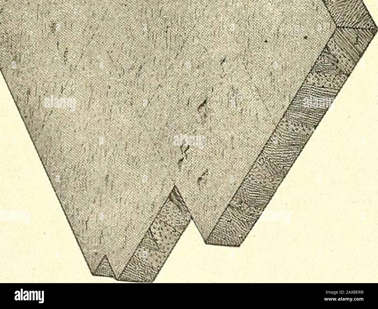 Physiographie forestière; physiographie des États-Unis et principes des sols en relation avec la foresterie . Banque D'Images