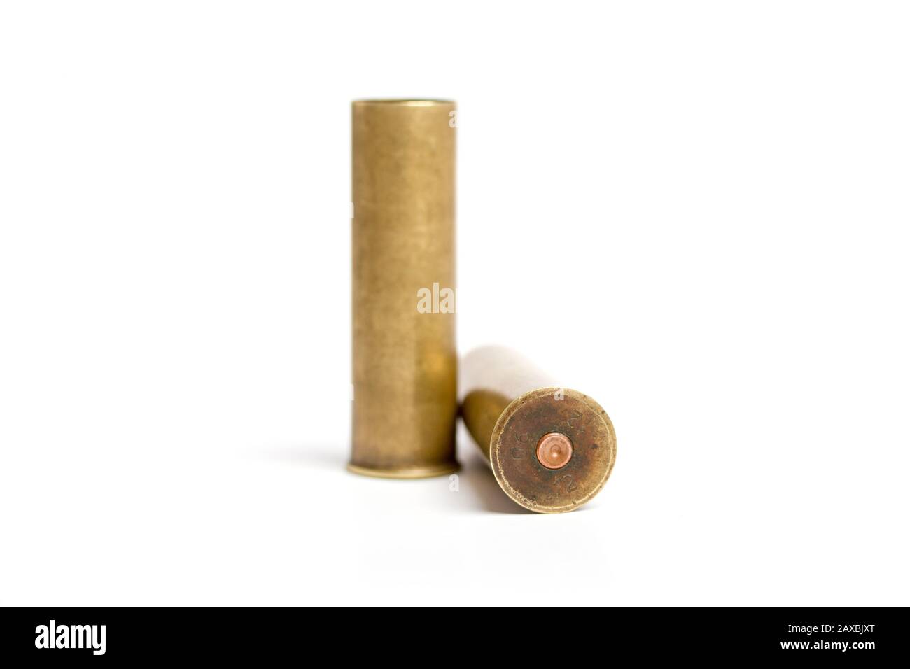 cartouches fusil de chasse Banque D'Images