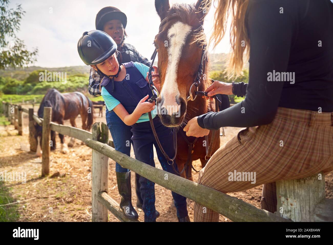 Femme et filles préparant le cheval pour l'équitation à l'équitation paddock Banque D'Images