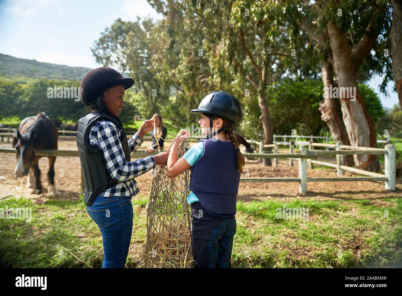 Heureux filles transportant le foin vers les chevaux dans le paddock Banque D'Images