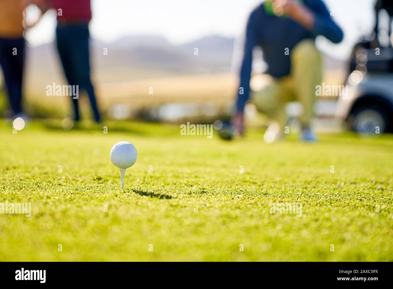 Balle de golf sur le tee dans l'herbe sur le tee-shirt ensoleillé Banque D'Images