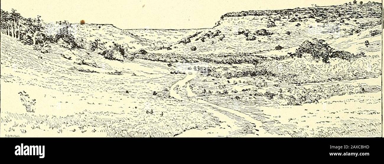 Physiographie forestière; physiographie des États-Unis et principes des sols en relation avec la foresterie . Fig. 158. — Llano Estacado, plateau Edwards et territoire adjacent. Le rcgiuu central denudé était autrefois couvert de calcaire Edwards maintenant exposé au sujet de la frontière comme une effleurement effiloché. (Hill, U. S. Geol. Surv.) 431 432 PHYSIOGRAPHIE FORESTIÈRE 60 000 milles carrés. Les deux fusionnent les uns avec les autres et aucune ligne vive ne doit être tracée entre eux. Ils sont entourés de tous les côtés d'escarpements byprononcés. La marge orientale est une érosion de l'escarpement de l'eau de tête, la marge sud est la d Banque D'Images