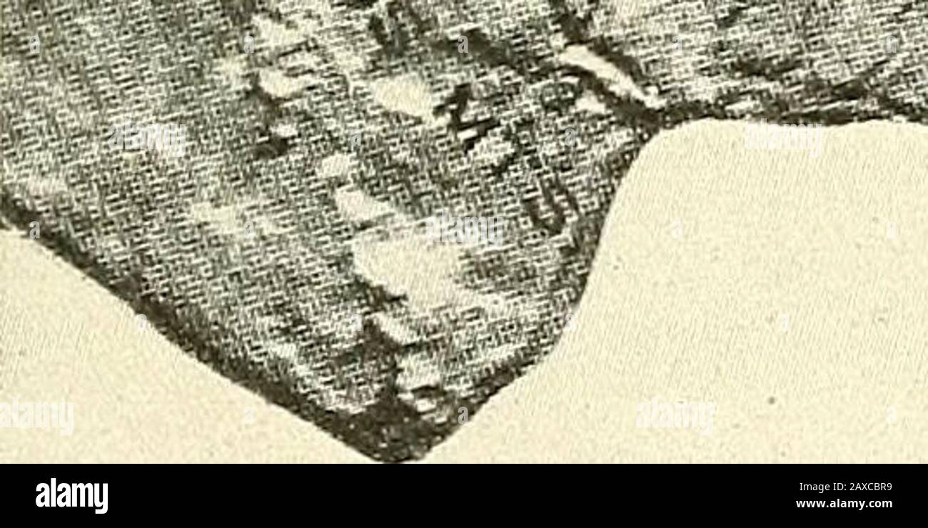 Physiographie forestière; physiographie des États-Unis et principes des sols en relation avec la foresterie . :jj:?^. ^...^?::z^-^;m^^^^^m. Fig. 158. — Llano Estacado, plateau Edwards et territoire adjacent. Le rcgiuu central denudé était autrefois couvert de calcaire Edwards maintenant exposé au sujet de la frontière comme une effleurement effiloché. (Hill, U. S. Geol. Surv.) 431 432 PHYSIOGRAPHIE FORESTIÈRE 60 000 milles carrés. Les deux fusionnent les uns avec les autres et aucune ligne vive ne doit être tracée entre eux. Ils sont entourés de tous les côtés d'escarpements byprononcés. La marge orientale est une érosion de l'escarpement de l'eau de tête Banque D'Images
