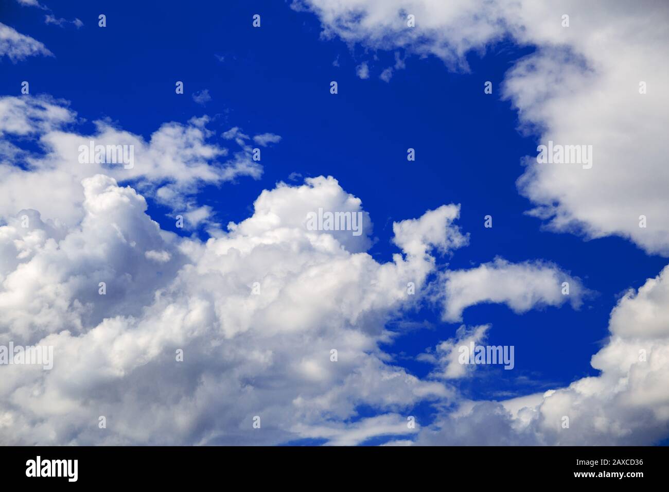 Ciel bleu profond et nuages de cumulus blancs Banque D'Images