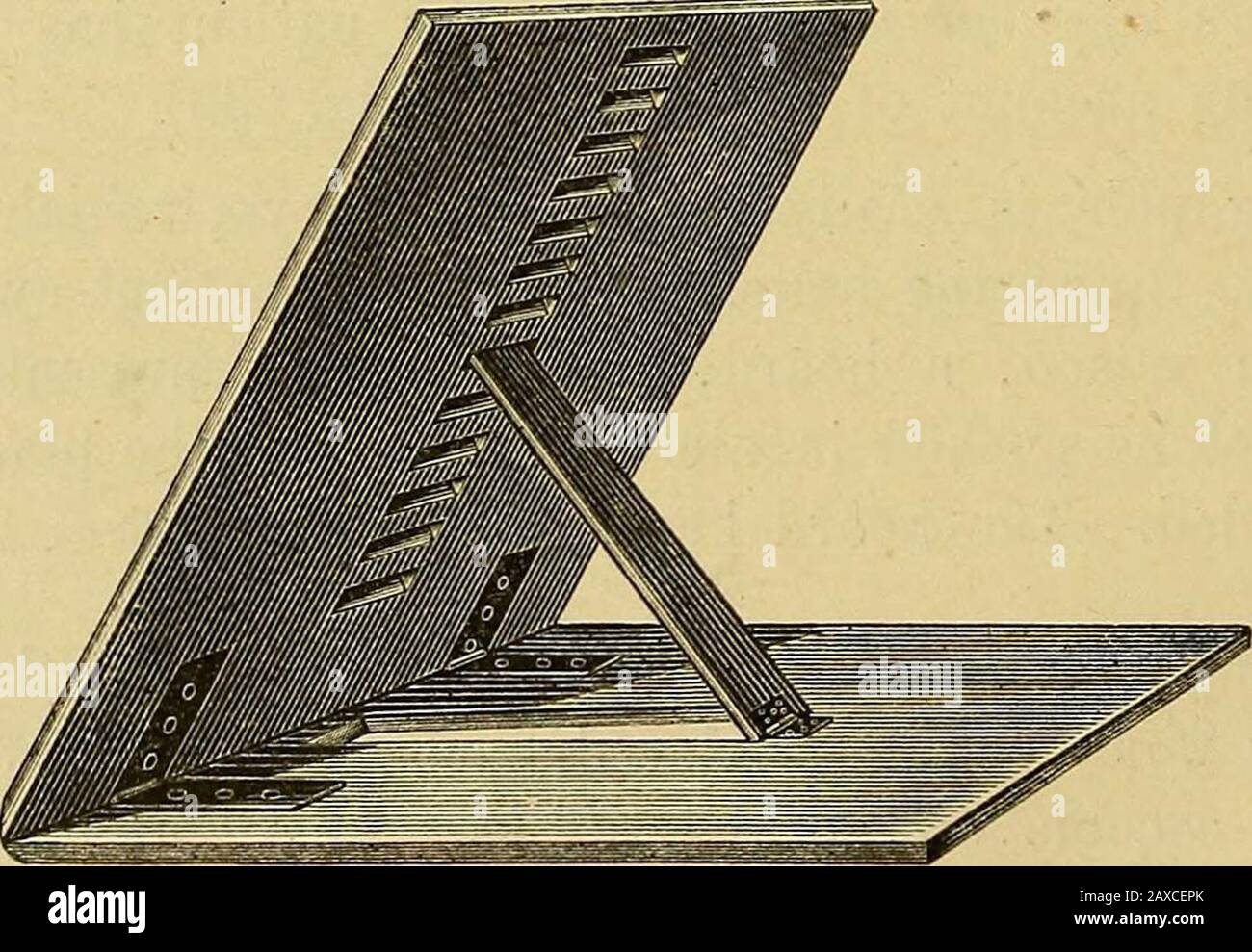 Le manuel du chirurgien sur le traitement des blessés en guerre : un essai de prix . Appareils de levage SIBOLDS.Fig. 536... Repose-lit adaptable. INDEX. A. tournants abdominaux 133. 134 Latsint 120 Adduction, Strometiers 66 Allartons lithotomie médiane 302 couteaux Amputants 174 amputations et disarticulations. . 172amputation de tous les os métataraux 207 — du bras 201 — — avant-bras 199 — — cuisse 228 — — jambe 224 Amputation, règles générales pour .... 172 Amusrats forceps 186 Aneurisme, diffus traumatique 137 Aneurisme-aiguille 142 Ankle joint, côté extérieur de 262 —? — , face interne de 264 Apolyse (Neu Banque D'Images