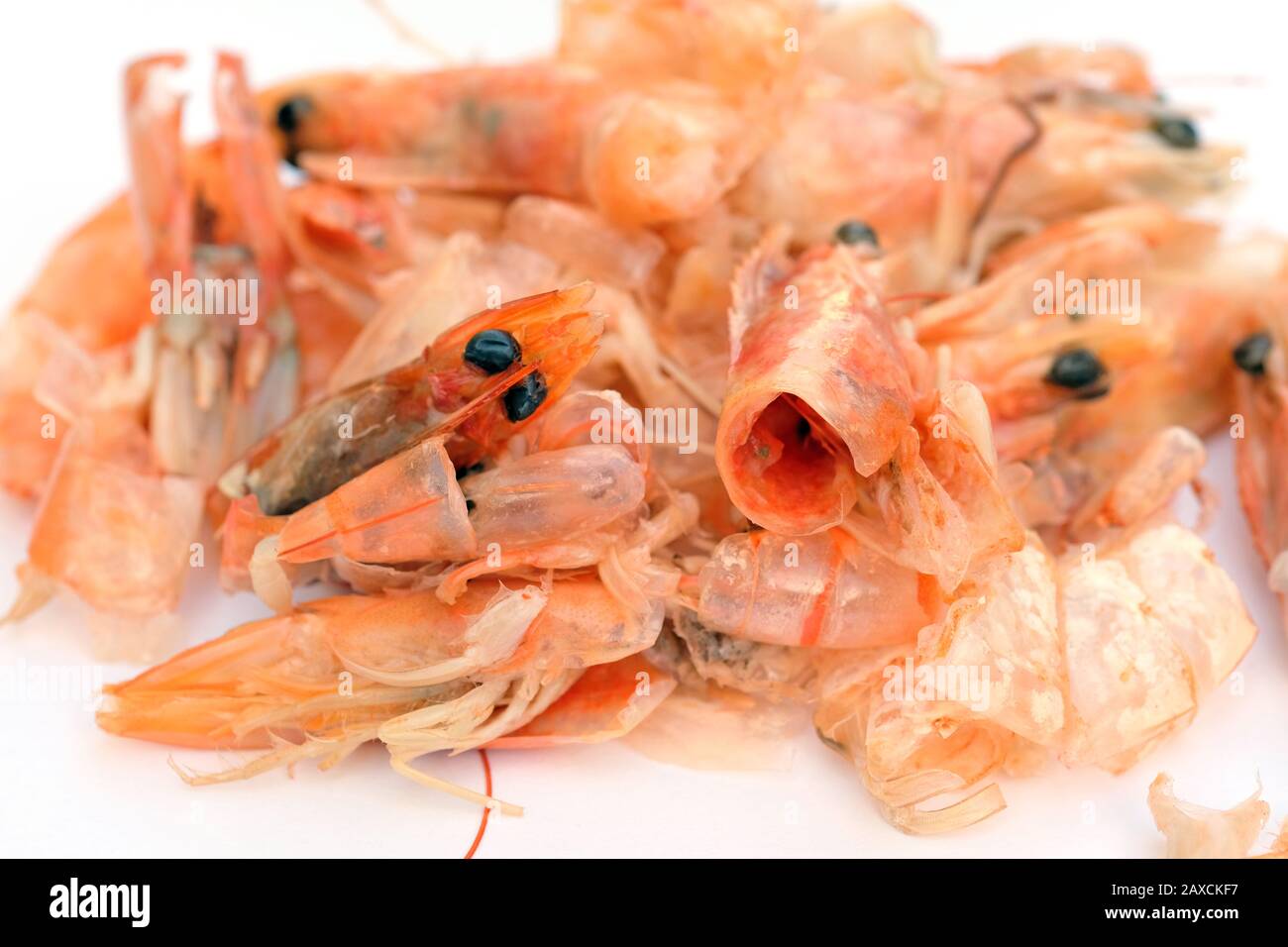 les crevettes cuites sur fond blanc ont été épluchées aux ordures ménagères, détails des têtes et des yeux de ces fruits de mer Banque D'Images