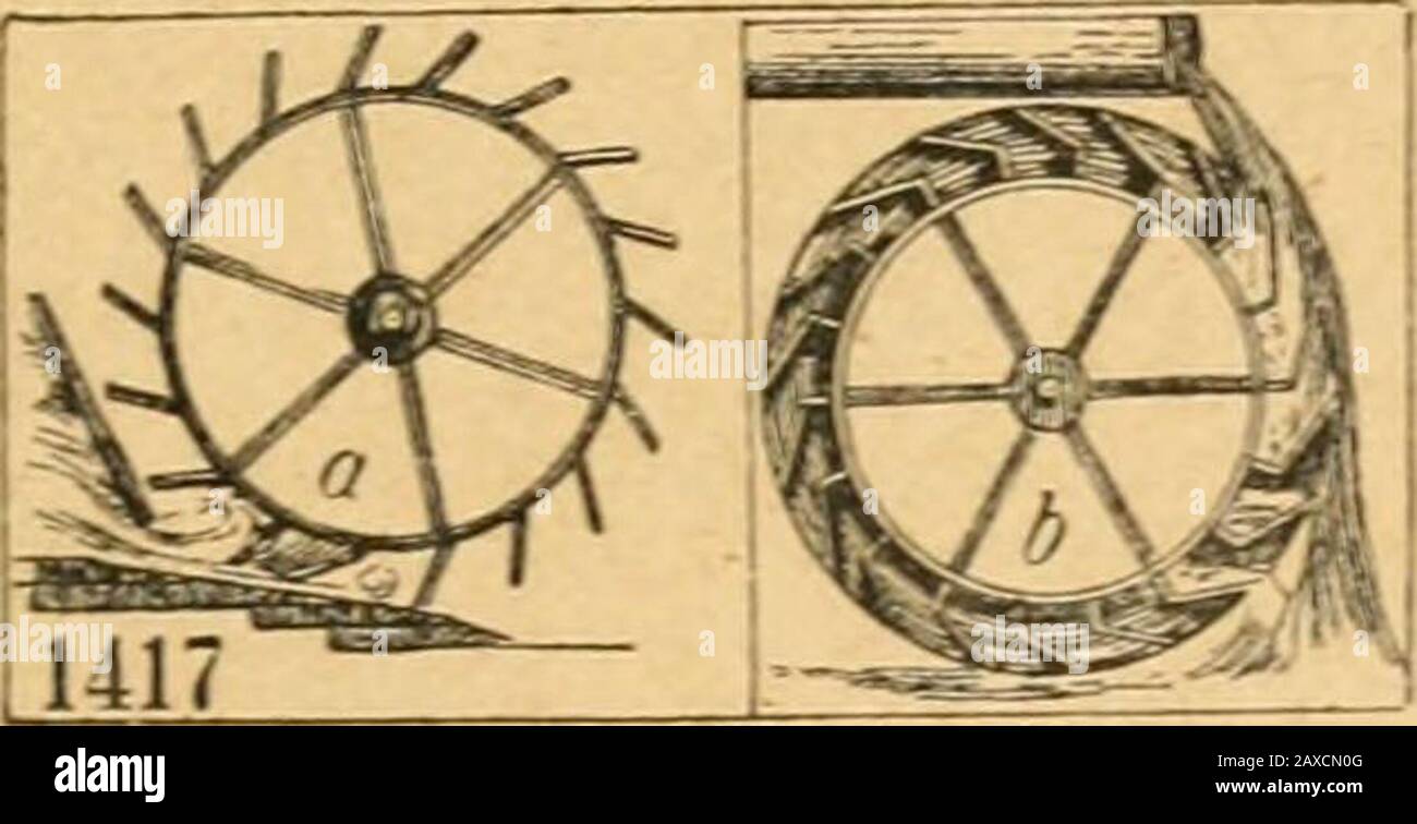Quart-Lexikon, ein Buch für Jedermann . t)i)braut.Wörtei), f .^ement ÜJaffcrnuB, i. TI-apa. IlÖaffer»)cftiElodeacanadensis. Ana-ha-ris Alsiiiastumi, §i)=brod)aribaceen; ausJlmerifa 1836 ui uns ge»fomene SBatierpflanie,oermetjrt^ ftart, fobQB fie ber Sd)iffa^rtf)inberlid) werben nc fan(5ig. 1416.) aSJaffer^otfcit, F. O. n. Sdinbporfen. »IßaffcrtJoIarfen, bie polnijcfjen Cberf(^te=ner, fielntil) ^lößer. »ißaffer^robc (öerenmage), ein fogen. Éotlesurteü, bem ütö ehemals grauen 5 uunter=werfen Rotten, bie ber .üereret angeflngt toaren;jdjroain bieturmeintl.A^ere, galt üe für föculgögösgrand. SÖflffcrrai Banque D'Images