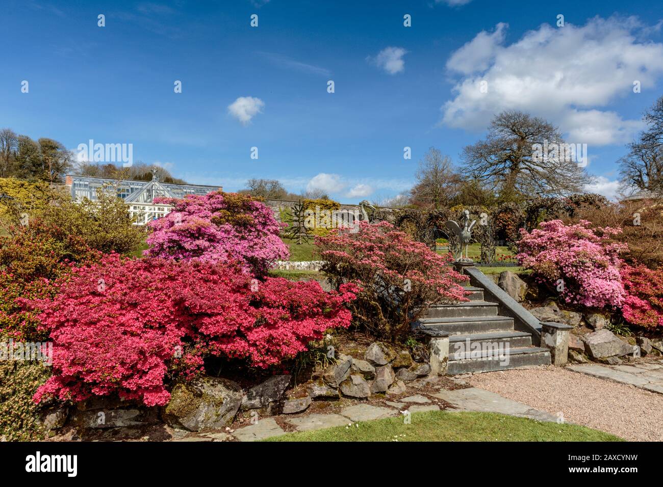 Jardins Colorés De Arlington Court North Devon Chichester Famille Home National Trust House Et Jardins Banque D'Images