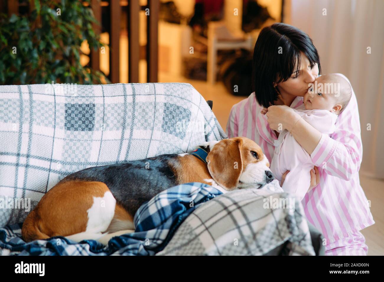Une mère en pyjama tient un bébé dans ses bras et l'embrasse à côté d'un chien allongé sur le canapé. Banque D'Images