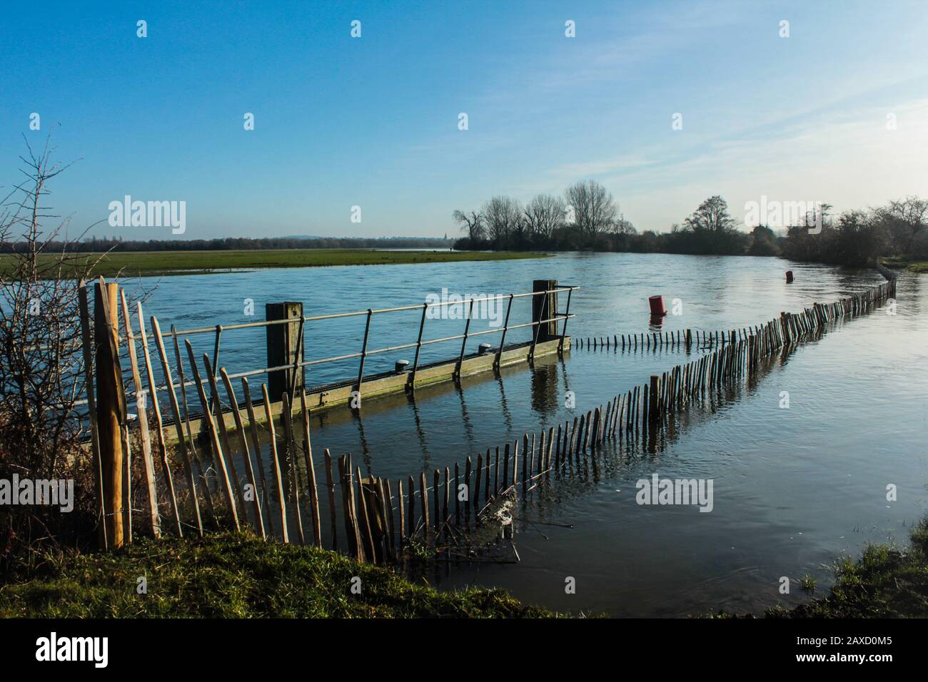 La Tamise Envahissent Port Meadow, Oxford Banque D'Images