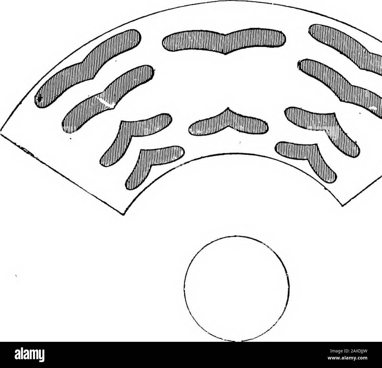 Divertissements scientifiques . Miroir Cylindrique Et Anamorphose. Les  miroirs convexes ou concaves faussent les images de manière unique et  produisent des effets très intéressants. Anamorphosesconstituent des objets  particuliers appartenant ...