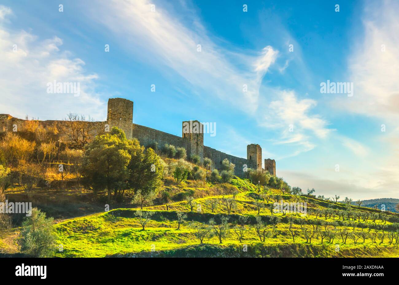 Monteriggioni village médiéval fortifié et oliviers, route de la via francigena, Sienne, Toscane. Italie Europe. Banque D'Images