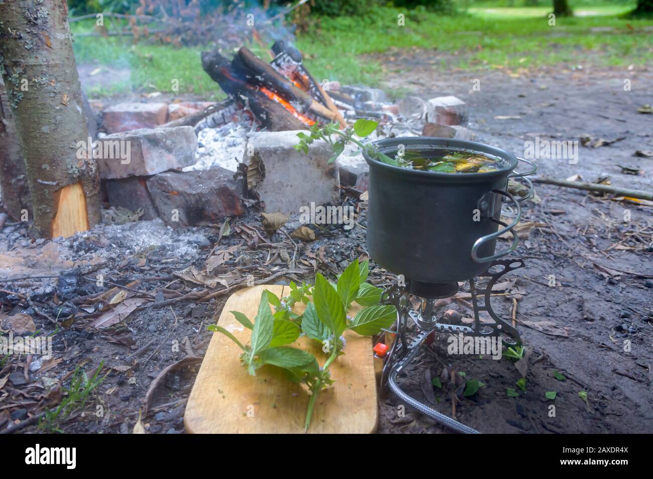 faire cuire du thé au feu, du thé au citron et à la menthe Banque D'Images