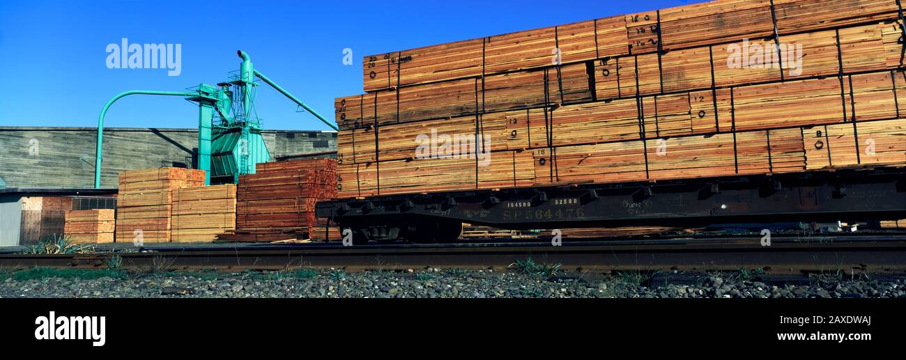 Le bois est chargé dans un train de marchandises, Eureka, comté de Humboldt, Californie, États-Unis Banque D'Images