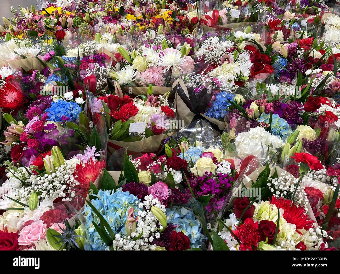 Plusieurs bouquets de différentes fleurs à une épicerie dans l'eau attendant qu'un client les achète. Concept amour, romance, anniversaire, valentin Banque D'Images