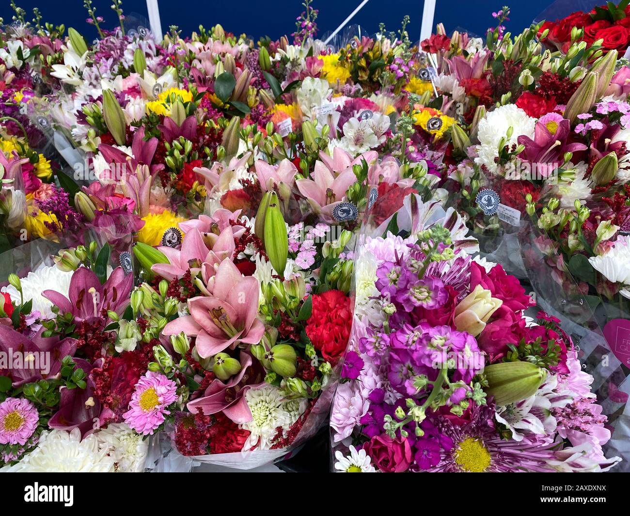 Orlando, FL/USA-2/11/20: Plusieurs bouquets de fleurs différentes à une épicerie dans l'eau attendant qu'un client les achète. Concept amour, romain Banque D'Images