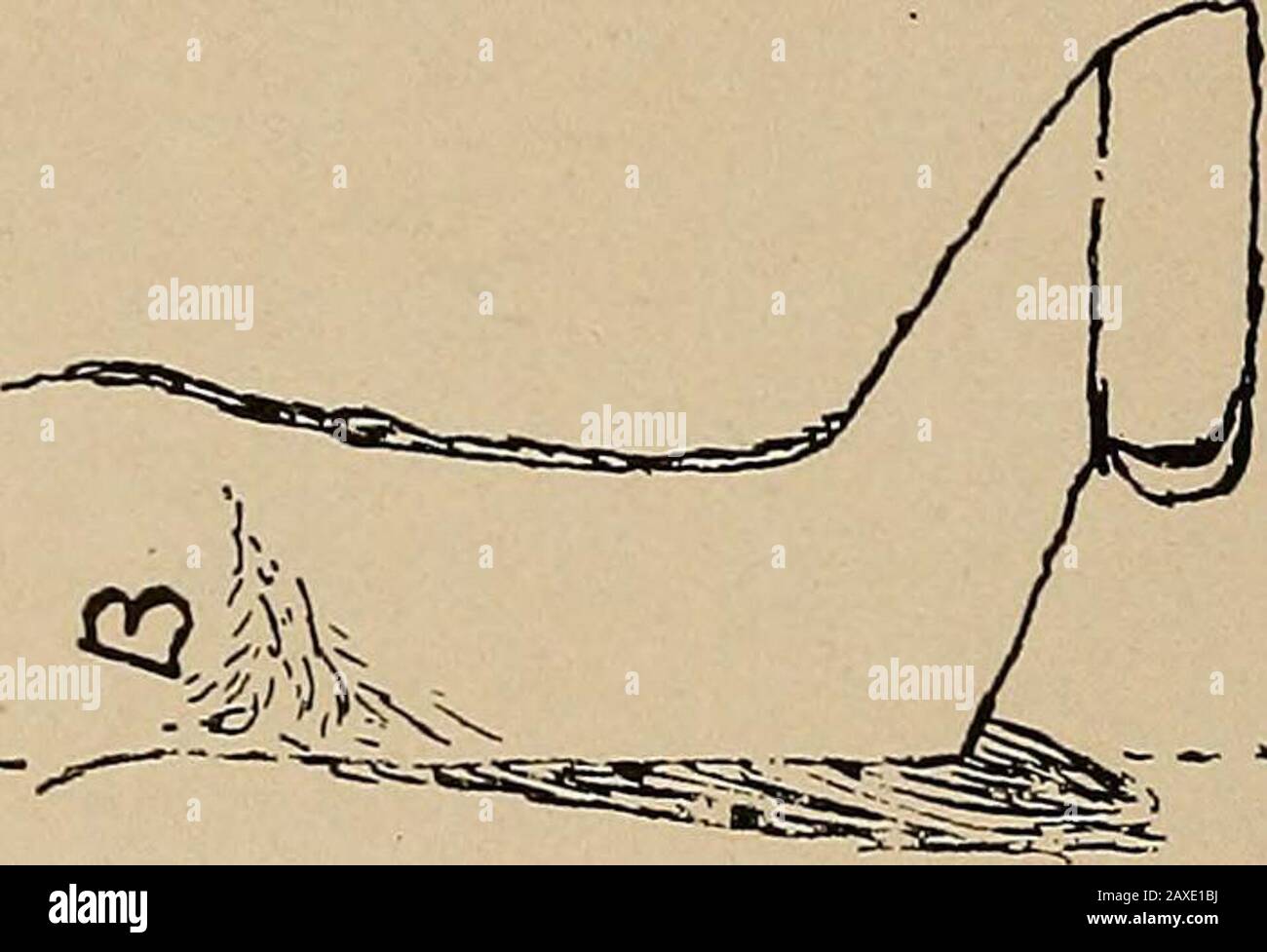 Études sur l'élevage de chevaux; un traité illustré sur la science et la pratique de l'élevage de chevaux . Banque D'Images