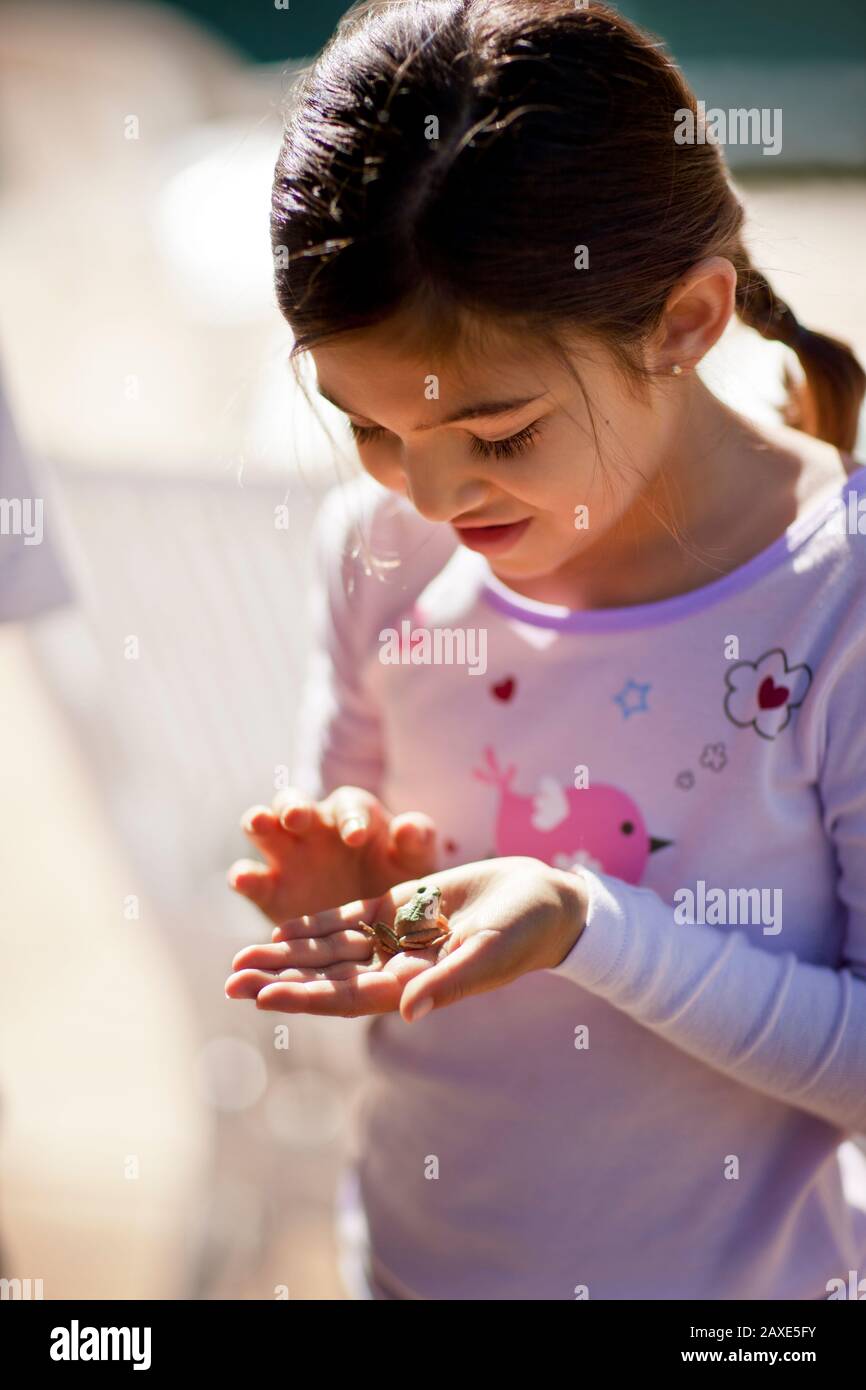 Jeune fille tenant une petite grenouille. Banque D'Images