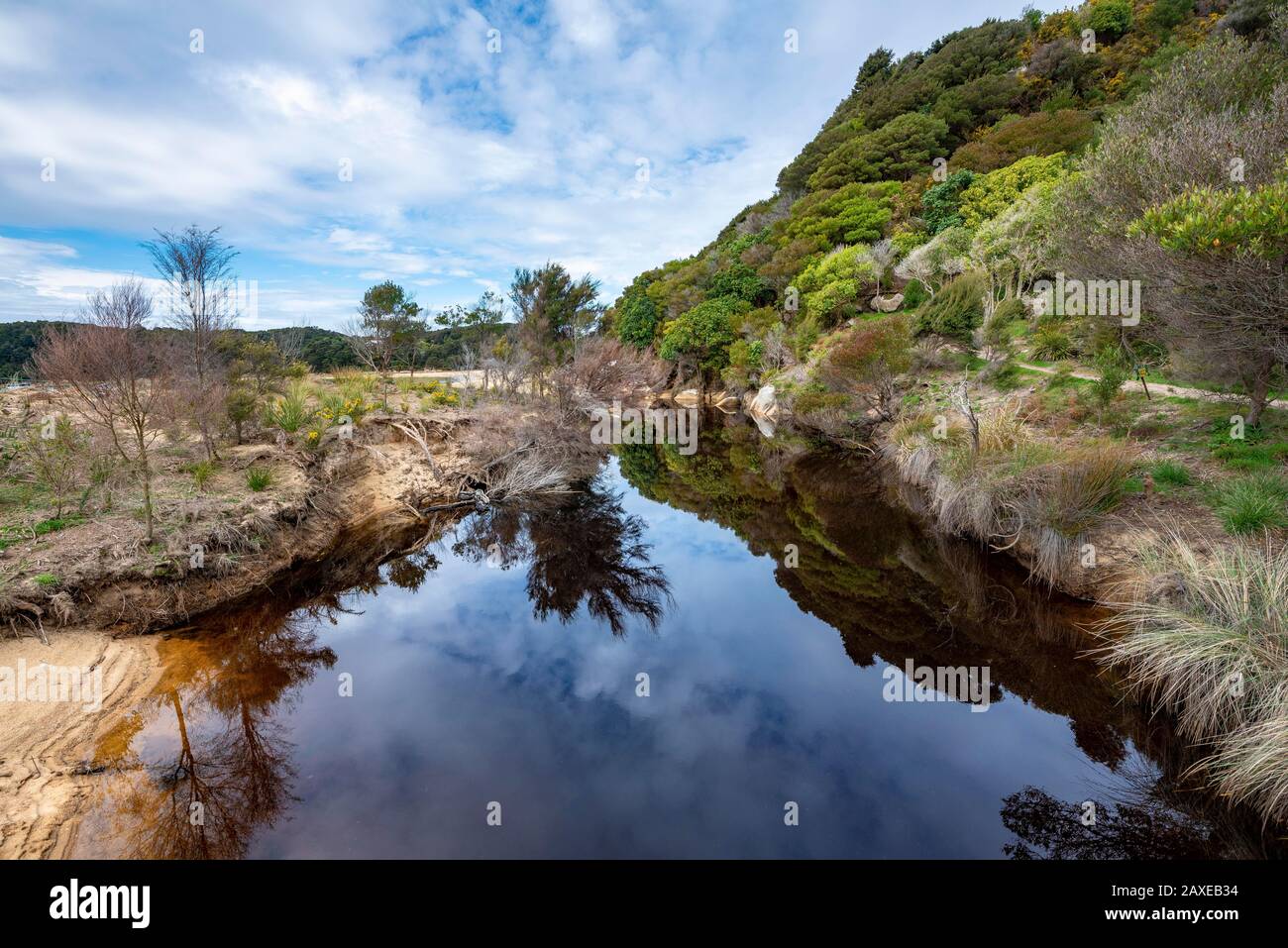 Petit Lac Lagon Dans La Baie D'Anchorage, Parc National D'Abel Tasman, Tasman, Île Du Sud, Nouvelle-Zélande Banque D'Images