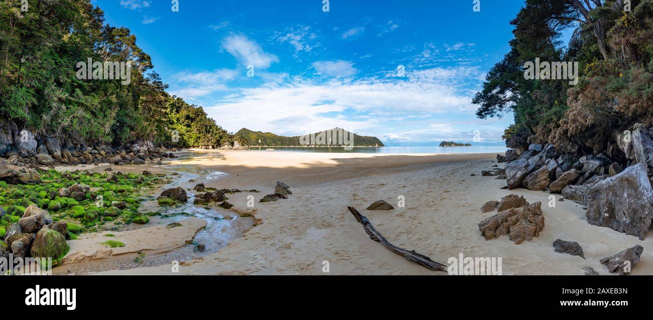 Pierres recouvertes de mousse sur la plage de Stillwell Bay, Lesson Creek, Abel Tasman Coastal Track, Abel Tasman National Park, Tasman, South Island, New Banque D'Images