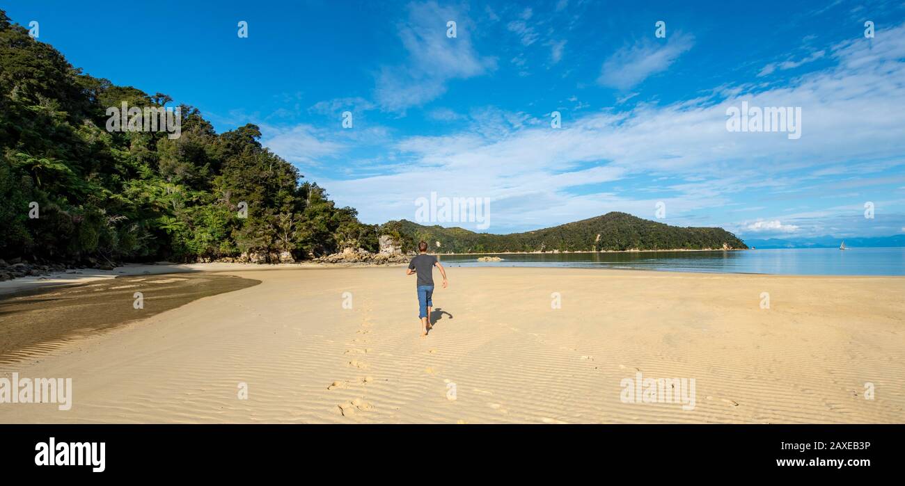 Jeune homme marchant sur la plage, Stillwell Bay, parc national Abel-Tasman, Tasman, île du Sud, Nouvelle-Zélande Banque D'Images