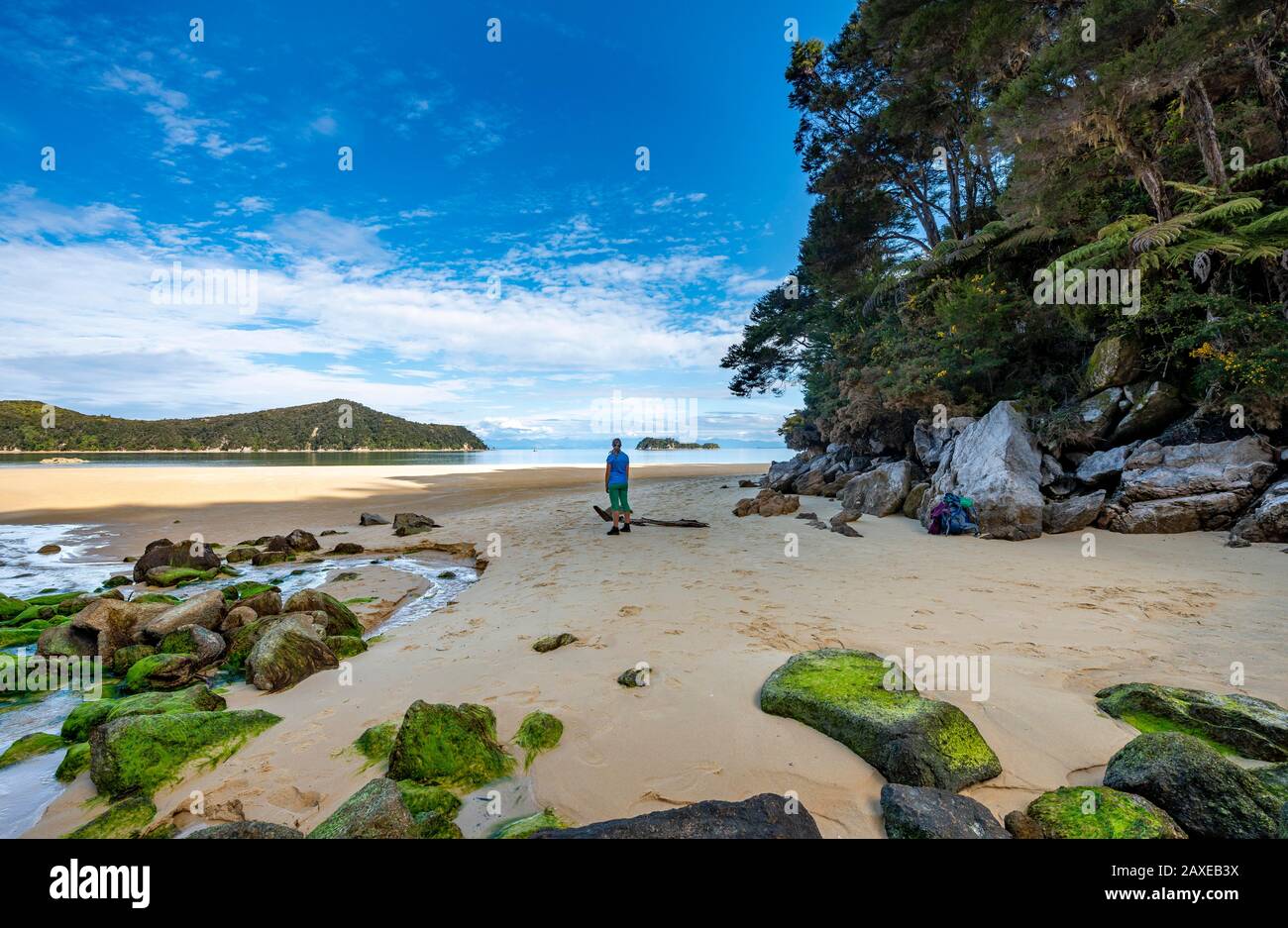 Jeune femme se tenant sur la plage avec des rochers recouverts de mousse, Stillwell Bay, Bach Lessel Creek, Abel Tasman Coastal Track, parc national Abel Tasman Banque D'Images