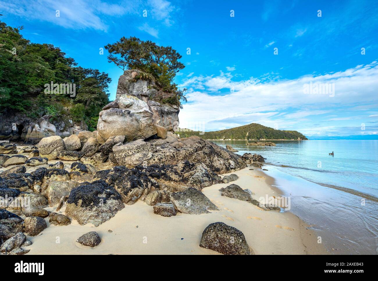 Roc sur la plage de Stillwell Bay, parc national Abel Tasman, Tasman, île du Sud, Nouvelle-Zélande Banque D'Images