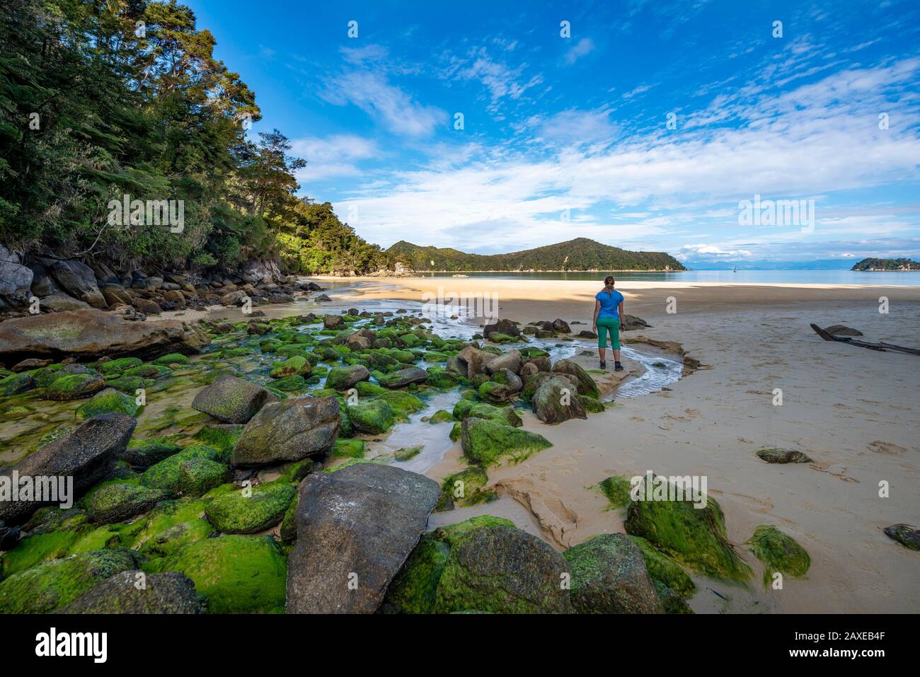 Jeune femme se tenant sur la plage avec des rochers recouverts de mousse, Stillwell Bay, Bach Lessel Creek, Abel Tasman Coastal Track, parc national Abel Tasman Banque D'Images
