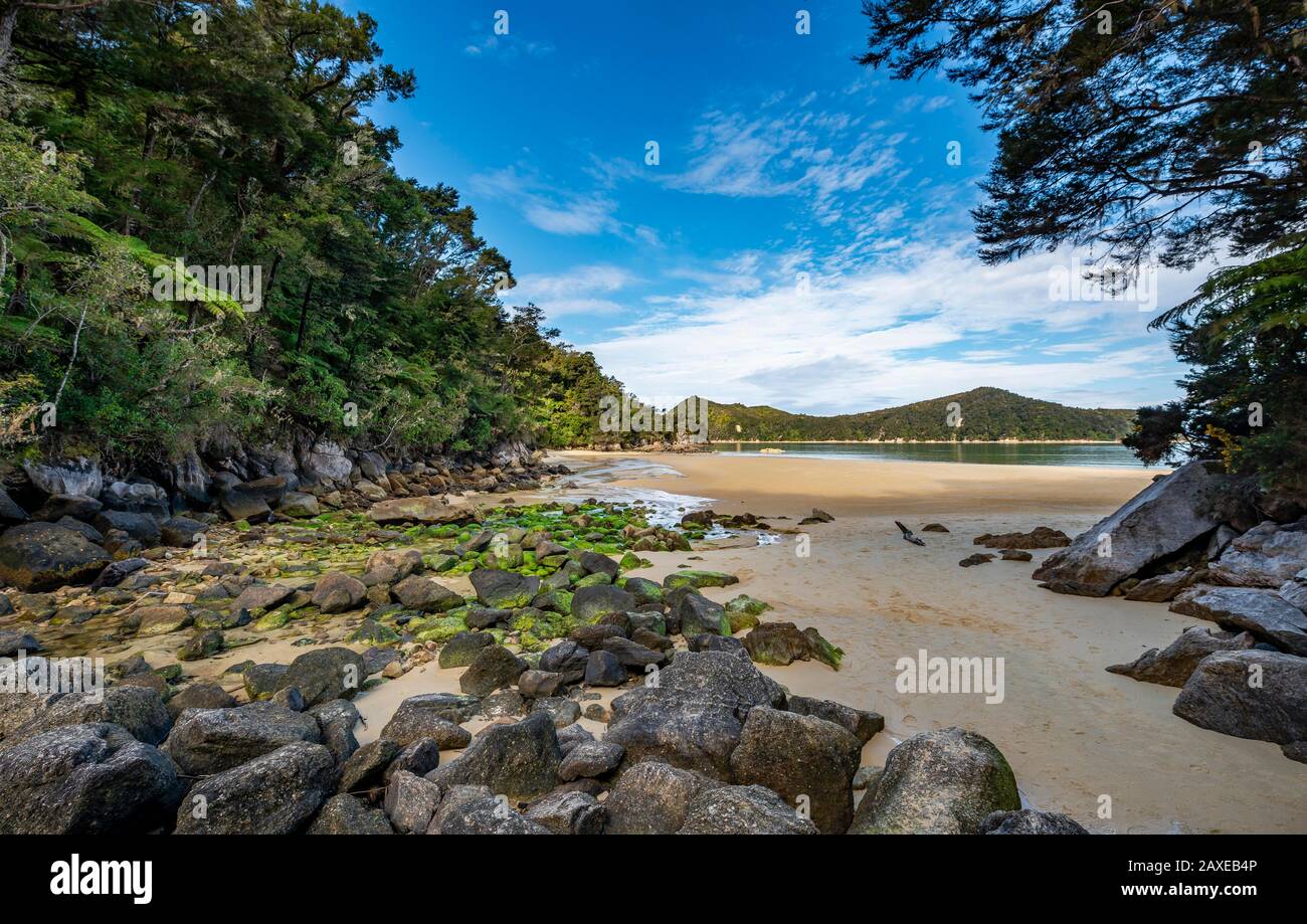 Pierres recouvertes de mousse sur la plage de Stillwell Bay, Abel Tasman Coastal Track, Abel Tasman National Park, Tasman, South Island, Nouvelle-Zélande Banque D'Images