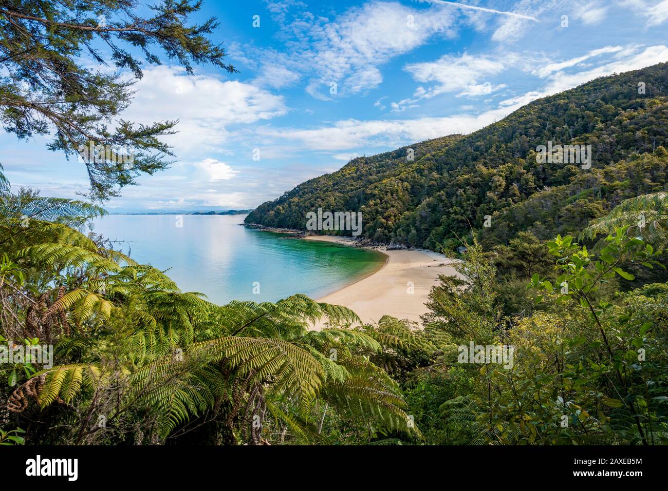 Vue Sur La Plage De Stillwell Bay Depuis La Coastal Track D'Abel Tasman, Le Parc National D'Abel Tasman, Tasman, South Island, Nouvelle-Zélande Banque D'Images