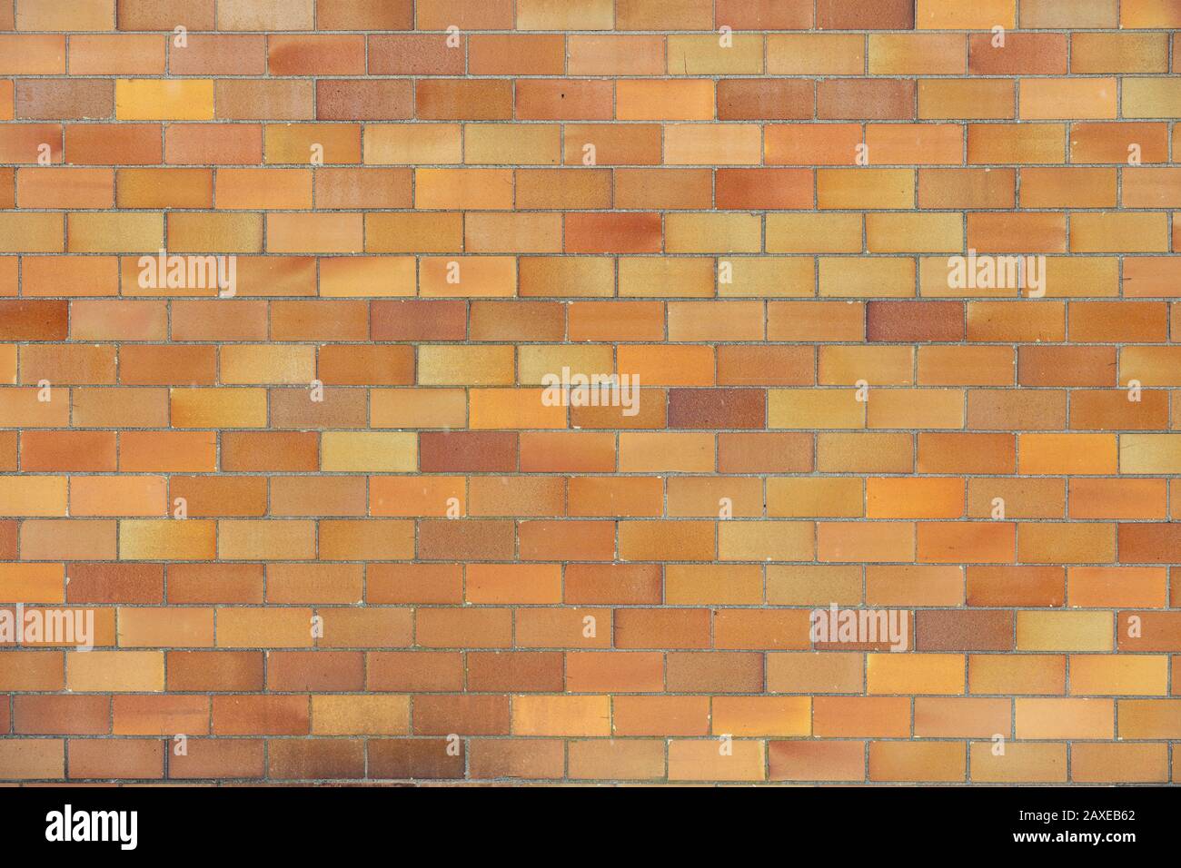 Mur de briques, par James D Coppinger/Dembinsky photo Assoc Banque D'Images