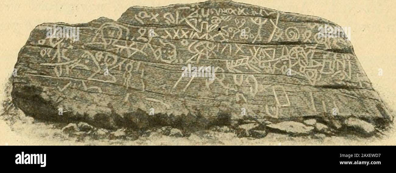 Une histoire des Etats-Unis . i^MIMTii hliasSlffiTSMiaidIII » i ?iifMuTlilMl North Pueblo de Taos. 985. Quatorze ans plus tard, Leif, fils d'Eric l'Eed, a introduit le christianisme de Norvège en Islande et M^et Caam vctr-u le^Cetnks ^RM W&. Spécimen De Manuscrit De Saga. Le Groenland a visité les terres nouvellement découvertes, avec trente-cinq fivecompanions. Ils ont hiverné dans un pays qui, de SA DÉCOUVERTE, a :§4. Le Dighton Rock dans le Massachusetts, loug supposed porter une inscription-tidii laissée par les Northmen. Les chiffres sont maintenant kuov/n pour être Indianhiéroglyphes. Abondance de vignes sauvages, Banque D'Images