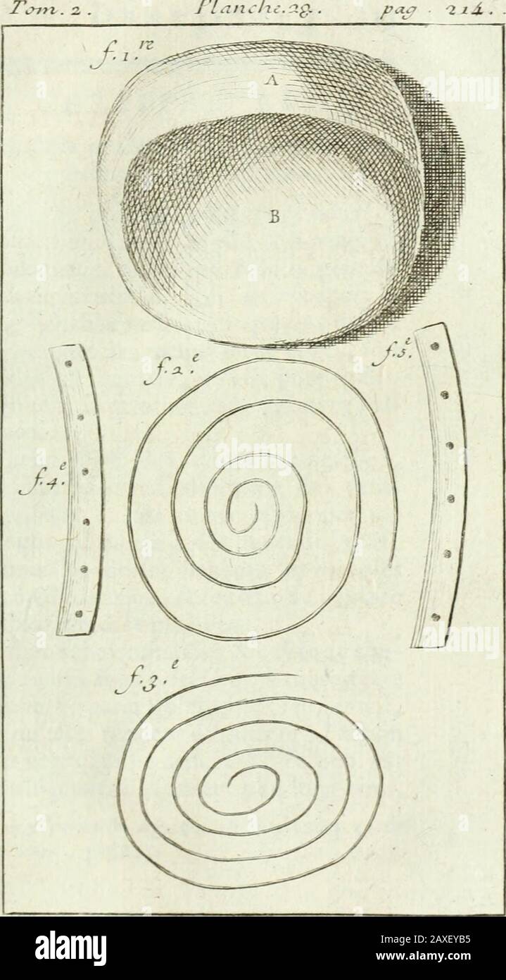 Le chrurgien dentiste, ou, droit des dents : où l'on enligne les moyens de l'entrêmir propres & saines, de les embellir, d'en réper la perte & de remédier à teurs maladies, à celles des gencives, & aux accidens qui peuvent les fêtes : avec des observations & dens flexions sur plusieurs cas singuliers : ouvrage enrichit de quarante-deux planches en taille douce . les racines courbes & reco-quillées : une dent de cette efpece eftdifficile à ôter. Lafig. XX repréfente une autre ère de la mâchoire supérieure, nayant quune racine très près-reco Banque D'Images