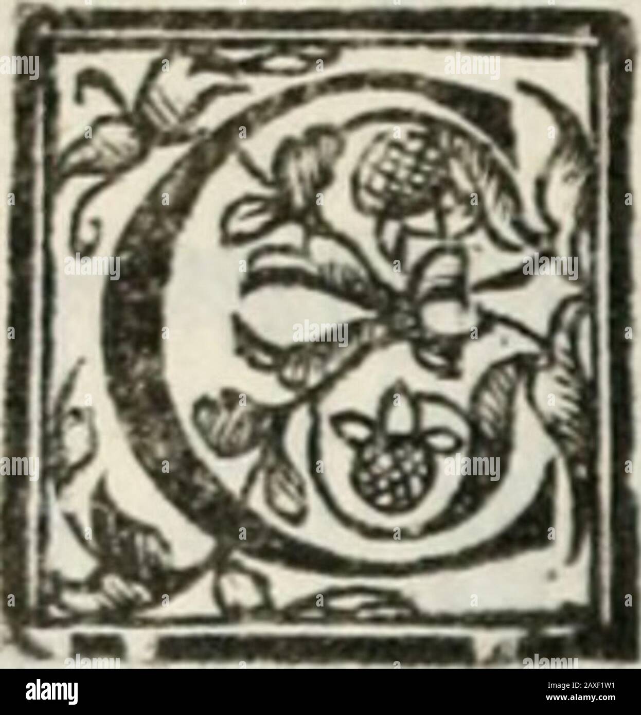 Geneologia De Gli Dei I Qvin Deci Libri Lipo Roccidiclknt Vpdjfd Pernt Zzo Ucituio Indcper Cdrid Ct Ionia E Portato Ntlfem Ddmxre Jiiudke Tra Pirene Mi Eto Di Jdeandro I A N E Figuuou Di Meandro