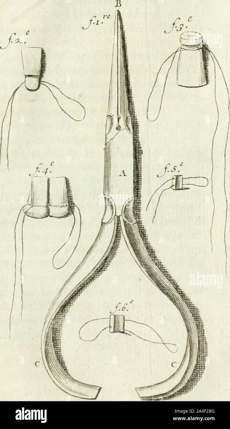 Le chrurgien dentiste, ou, droit des dents : où l'on enligne les moyens de l'entrêmir propres & saines, de les embellir, d'en réper la perte & de remédier à teurs maladies, à celles des gencives, & aux accidens qui peuvent les fêtes : Avec des observations & dens flexibles sur plusieurs cas singuliers : ouvrage enrichit de quarante-deux planches en taille douce . ien-de plufieurs perfonnes, auxqupec elles onoic pu lesconfiervr : au refle, dun fanmarrécer davantage à detruire le-flep par 6 Banque D'Images