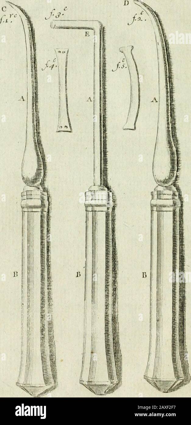 Le chrurgien dentiste, ou, droit des dents : où l'on enligne les moyens de l'entrêmir propres & saines, de les embellir, d'en réper la perte & de remédier à teurs maladies, à celles des gencives, & aux accidens qui peuvent les fêtes : avec des observations & dens flexions sur plusieurs cas singuliers : ouvrage enrichit de quarante-deux planches en taille douce . ume. D % ys le Chirgien avant que de fini eelui-ci, il eftbon doblaver, quen ôtant toute lacarie dune dent, afin de la plobberJorfquelle eft creufe , il neft quelque-fopas poffable Banque D'Images