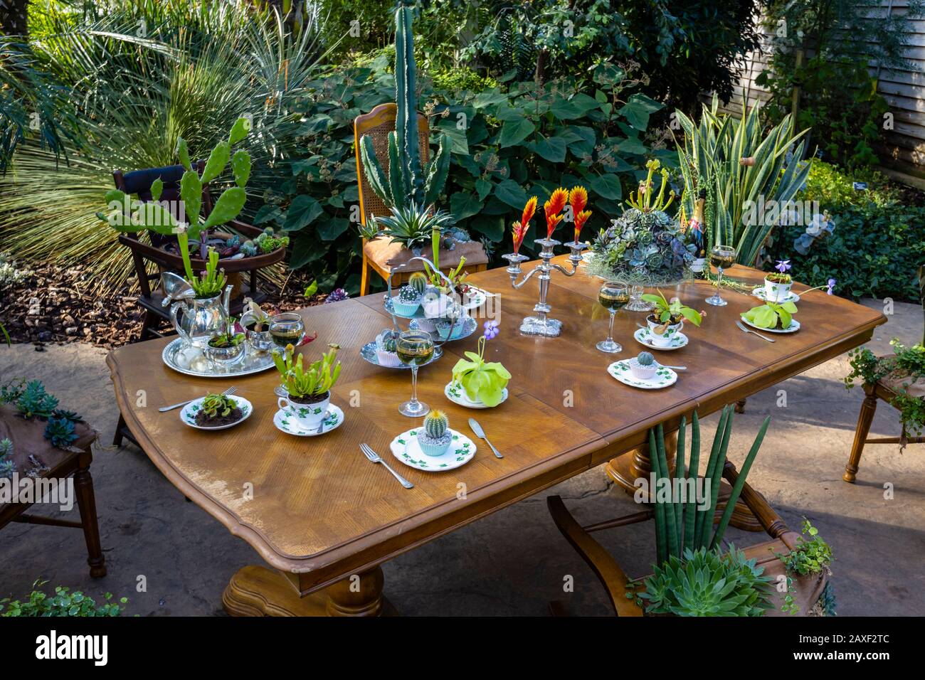 Salle à manger avec table et chaises dans la Giant Houseplant Takeover, un événement tenu dans la Glasshouse à RHS Gardens, Wisley, Surrey, Royaume-Uni Banque D'Images