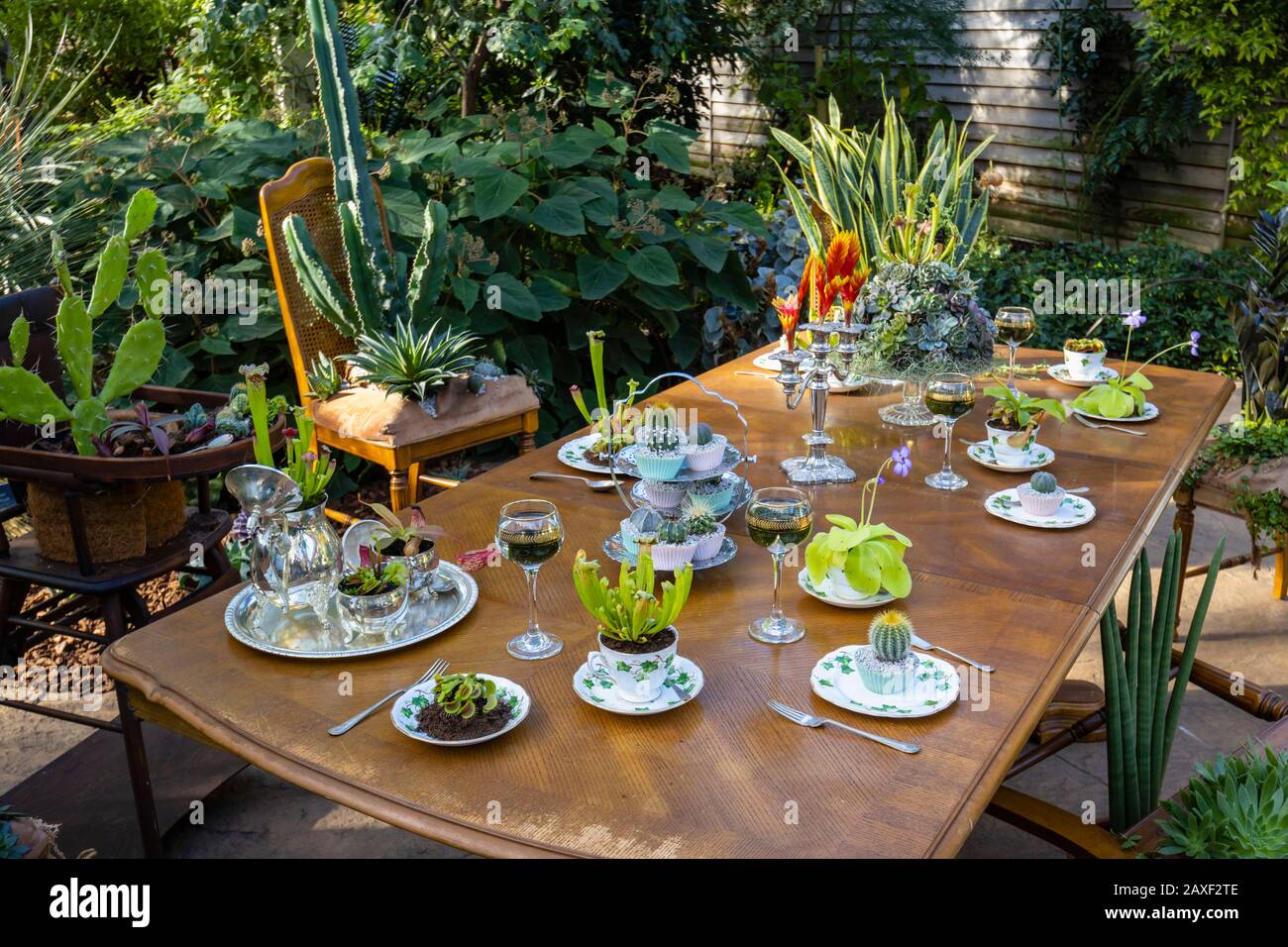 Salle à manger avec table et chaises dans la Giant Houseplant Takeover, un événement tenu dans la Glasshouse à RHS Gardens, Wisley, Surrey, Royaume-Uni Banque D'Images