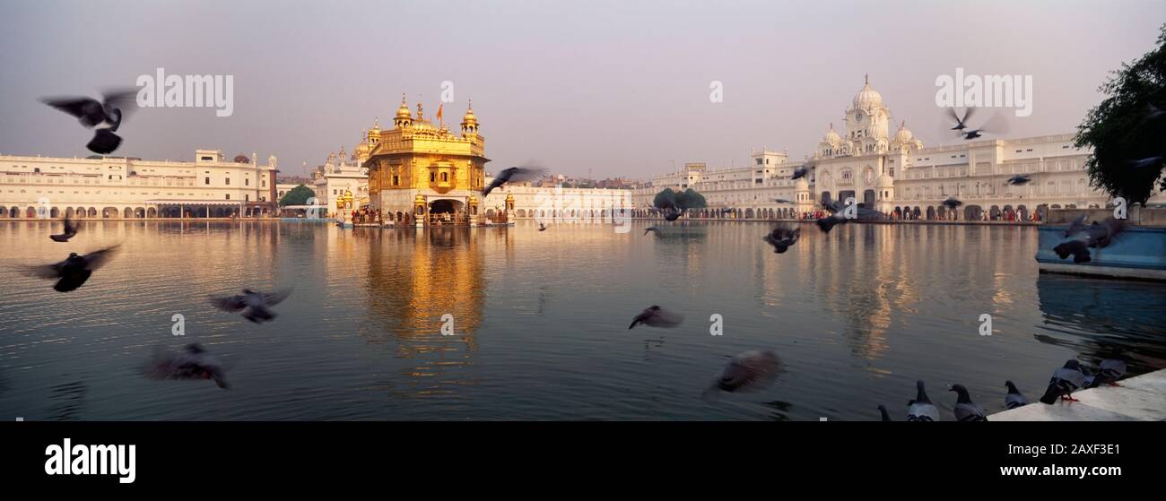 Reflet d'un temple dans un lac, Temple d'Or, Amritsar, Punjab, Inde Banque D'Images