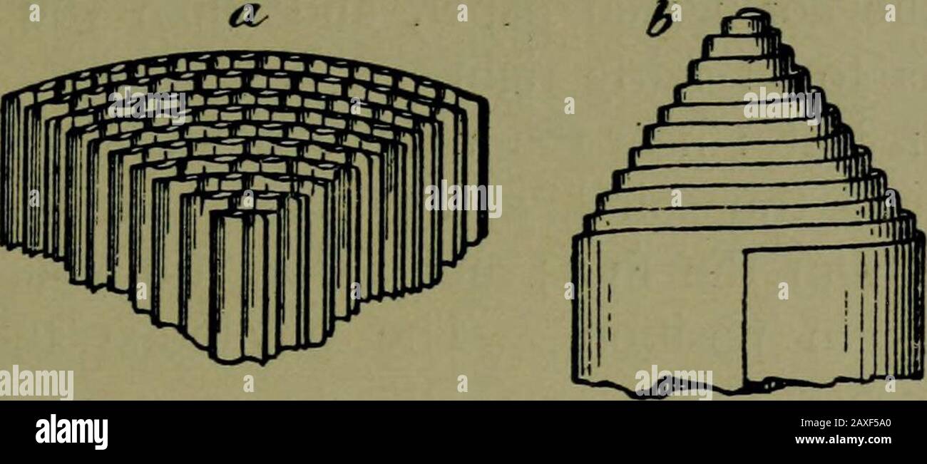 Plantes et leurs voies en Afrique du Sud . Une étude des Feuilles 53. JioseUe ^Section,) Fig. 6 pouces Stein Banque D'Images