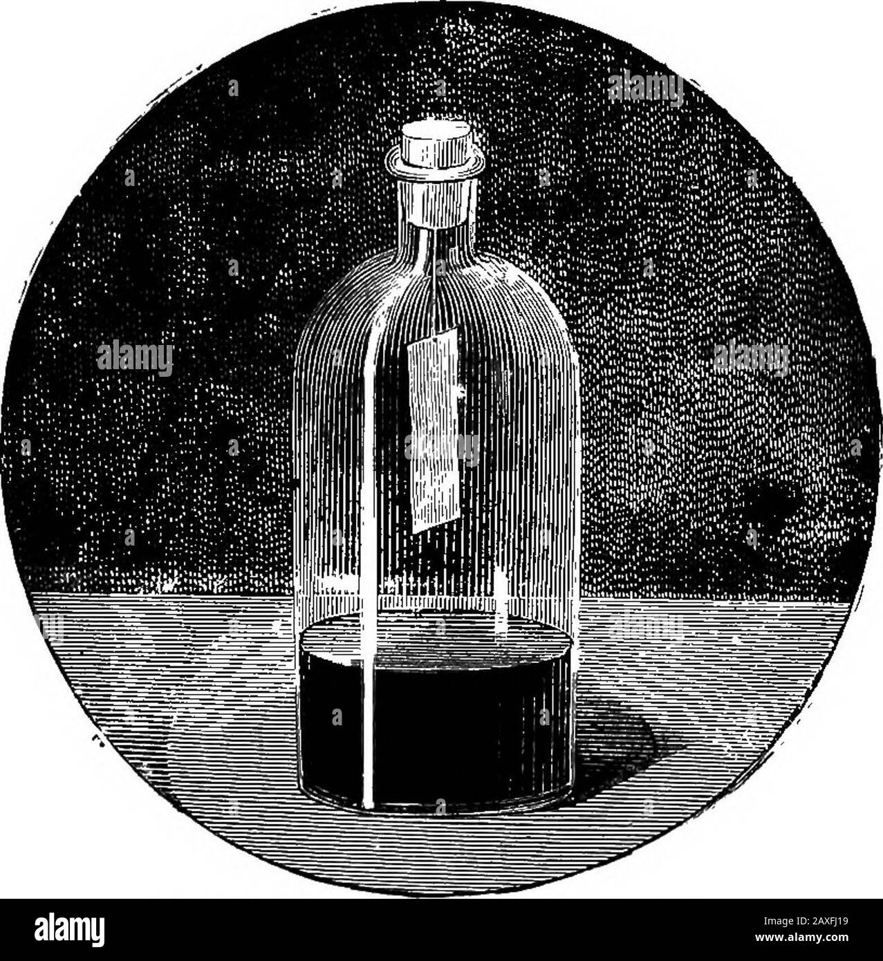 Loisirs scientifiques . petit cupel osseux, en contact avec l'air, et laissé refroidir rapidement, il se développe d'une manière remarcable, et donne de l'oxygène. L'acide nitrique dissout l'argent très facilement, en provoquant la formation de fumées abondantes. Lorsque la solution évapote, nous percevons des cristaux blancs formant, qui sont nitratéde l'argent. Ce nitrate d'argent fondu prend le nom de caustique lunaire et est employé en médecine. Le nitrate d'argent est très toxique ; il possède la propriété singulière de tourner le noir sous l'action des rayons du soleil, et est LUNAR CAUSTIQUE. 3.1 utilisé dans de nombreuses opérations curieuses Banque D'Images