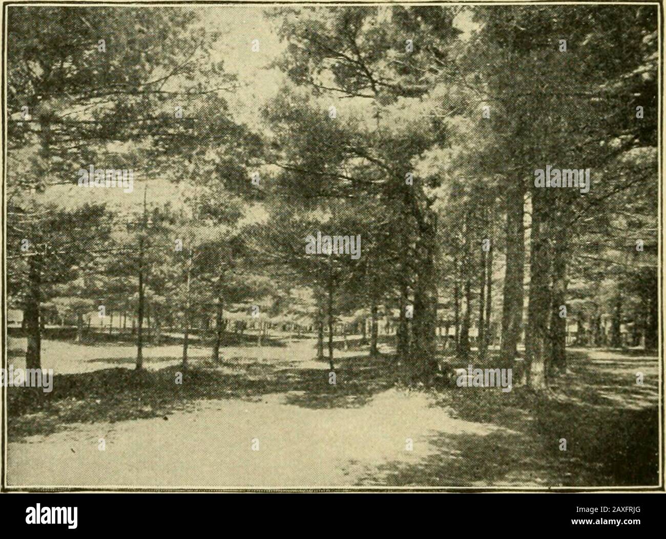 En tramway à travers l'est de la Nouvelle-Angleterre . statea pris une largearea de la plage mag-noficent, et à nouveau, sous le devel-opment de la MetropolitanPark Commis-sion, il sera-viennent la plus belle plage de Nantasket Beach à Amer-ica. Il y a plusieurs bons hôtels le long de la rive. La ligne Anelectric longe le long cou de la terre, avec l'eau des deux côtés, à Nantasket point, un nouveau complexe qui meetsavec la faveur populaire. À Nantasket des calèches peuvent être emporté pour un trajet le long de la célèbre route de Jérusalem, où 40 EN TRAMWAY À TRAVERS de nombreux riches Bostoniens ont leurs maisons d'été. Le lecteur s'étend le long de t Banque D'Images